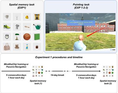 A Virtual Navigation Training Promotes the Remapping of Space in Allocentric Coordinates: Evidence From Behavioral and Neuroimaging Data